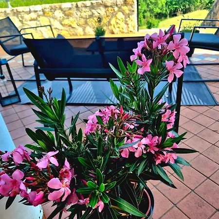 Villa Dorono House *
